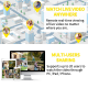 Septekon Outdoor Security Camera, 2K Cameras for Home Security, Dual Antenna 2.4G WiFi Camera with Night Vision, AI Motion Detection, 2-Way Audio, IP66 Waterproof, Black-4 pack Septekon Outdoor Security Camera, 2K Cameras for Home Security, Dual Antenna 2.4G WiFi Camera with Night Vision, AI Motion Detection, 2-Way Audio, IP66 Waterproof, Black-4 pack